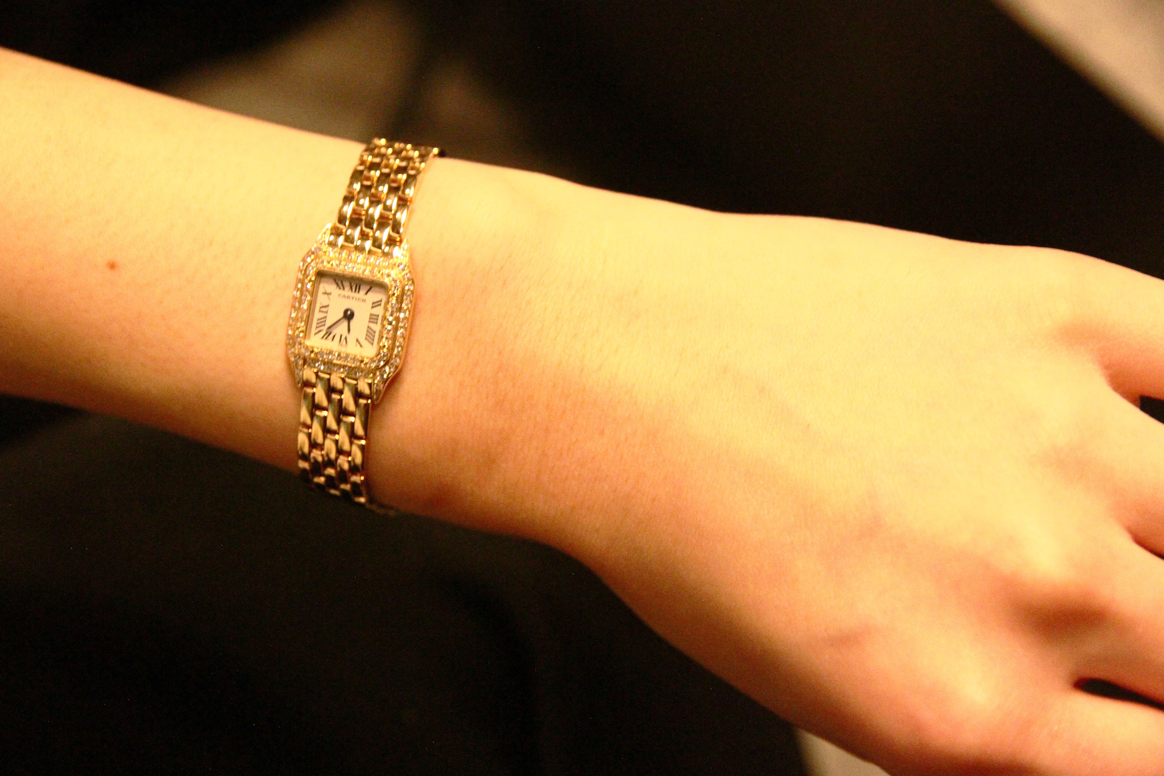 ミニパンテール 純正ダイヤベゼル / Mini panthere Ref.WF3141B9