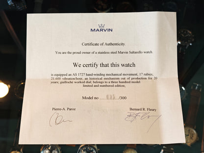 マーヴィン ドクターズウォッチ レギュレータージャンピングアワー Ref.541・902  / MARVIN jumping hour Doctors watch 1995&